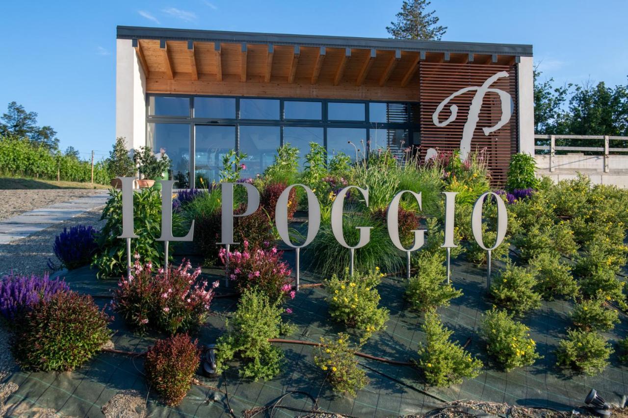 B&B Il Poggio Di Gavi Dış mekan fotoğraf