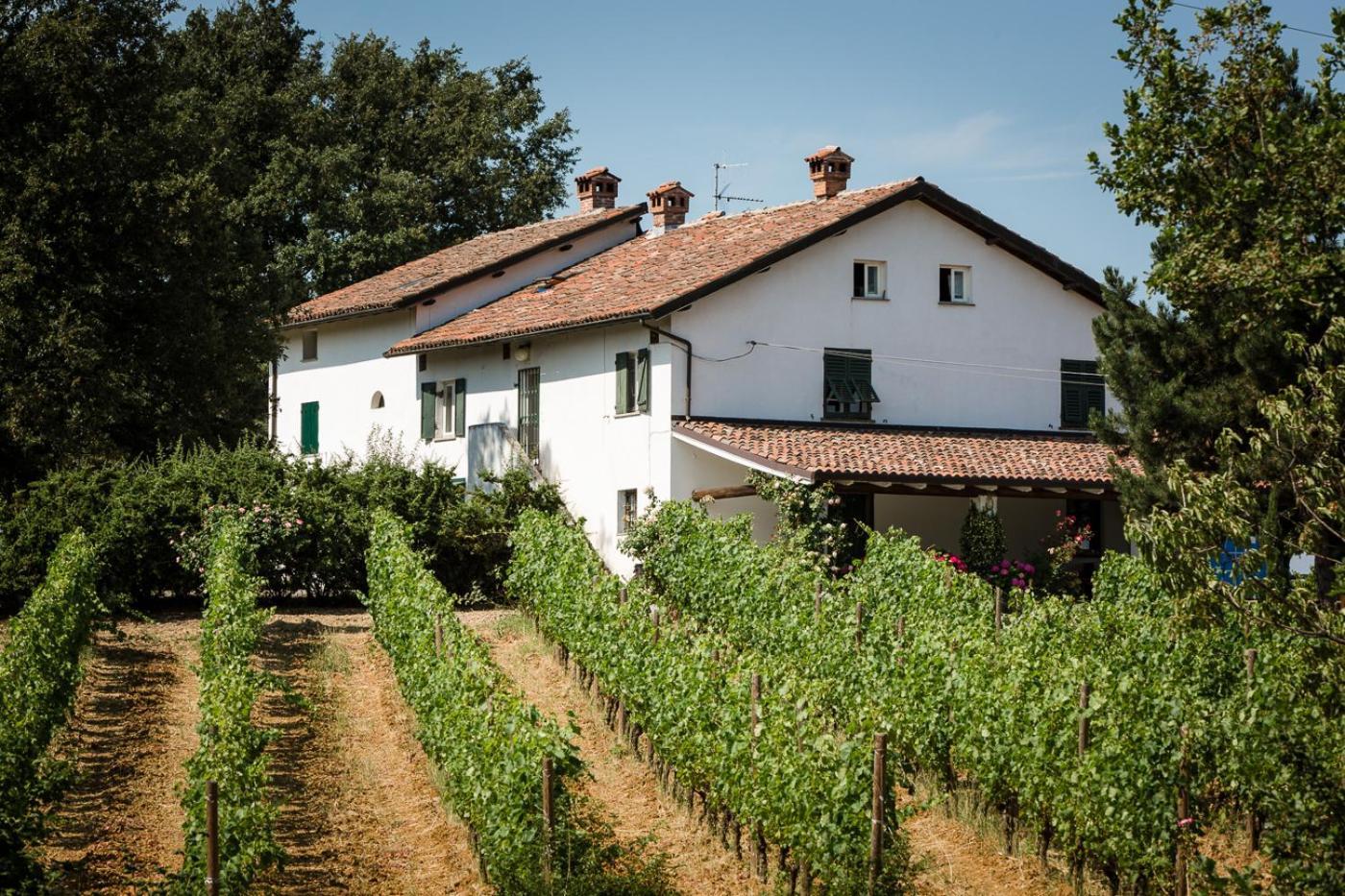 B&B Il Poggio Di Gavi Dış mekan fotoğraf