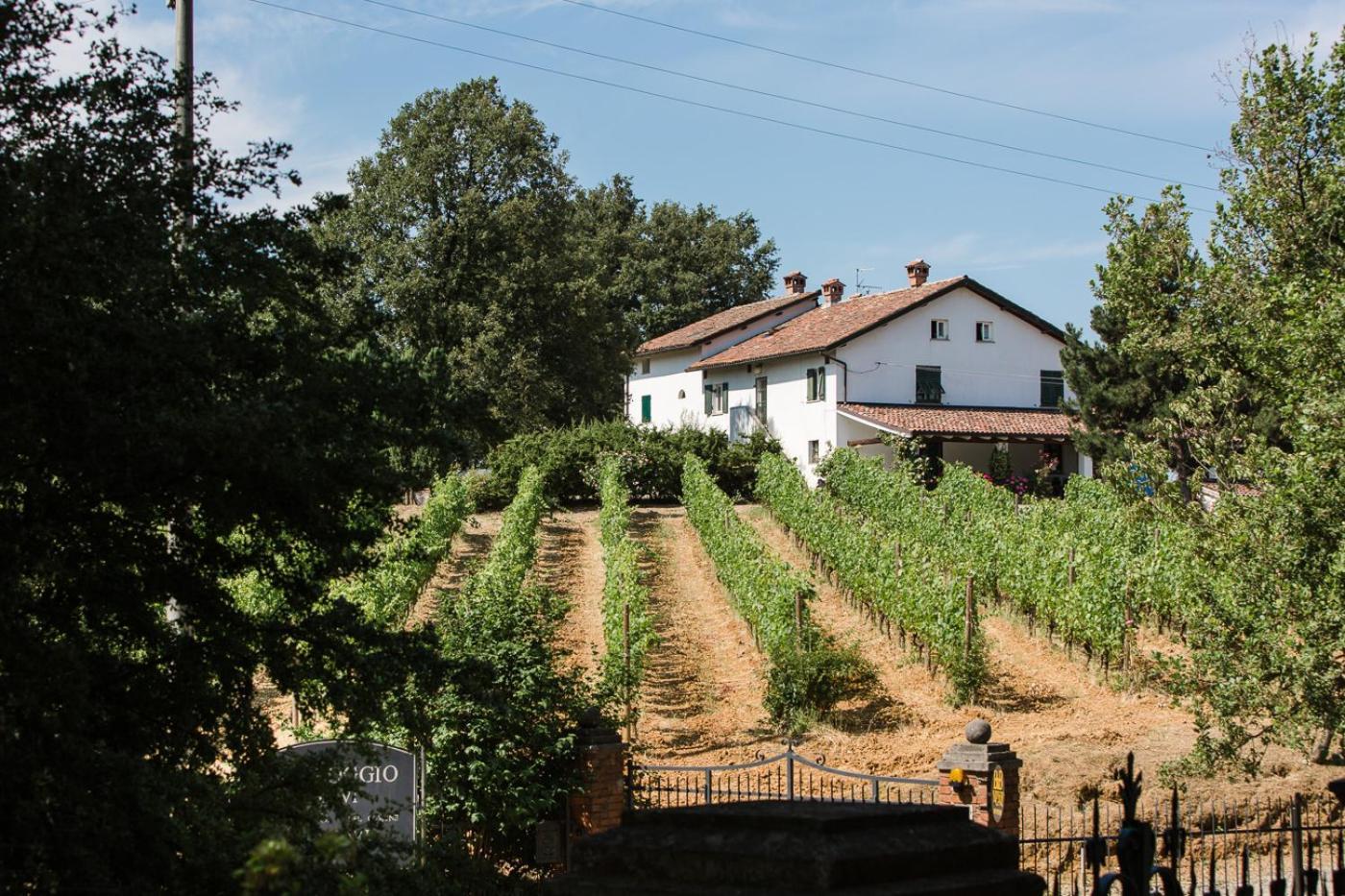 B&B Il Poggio Di Gavi Dış mekan fotoğraf